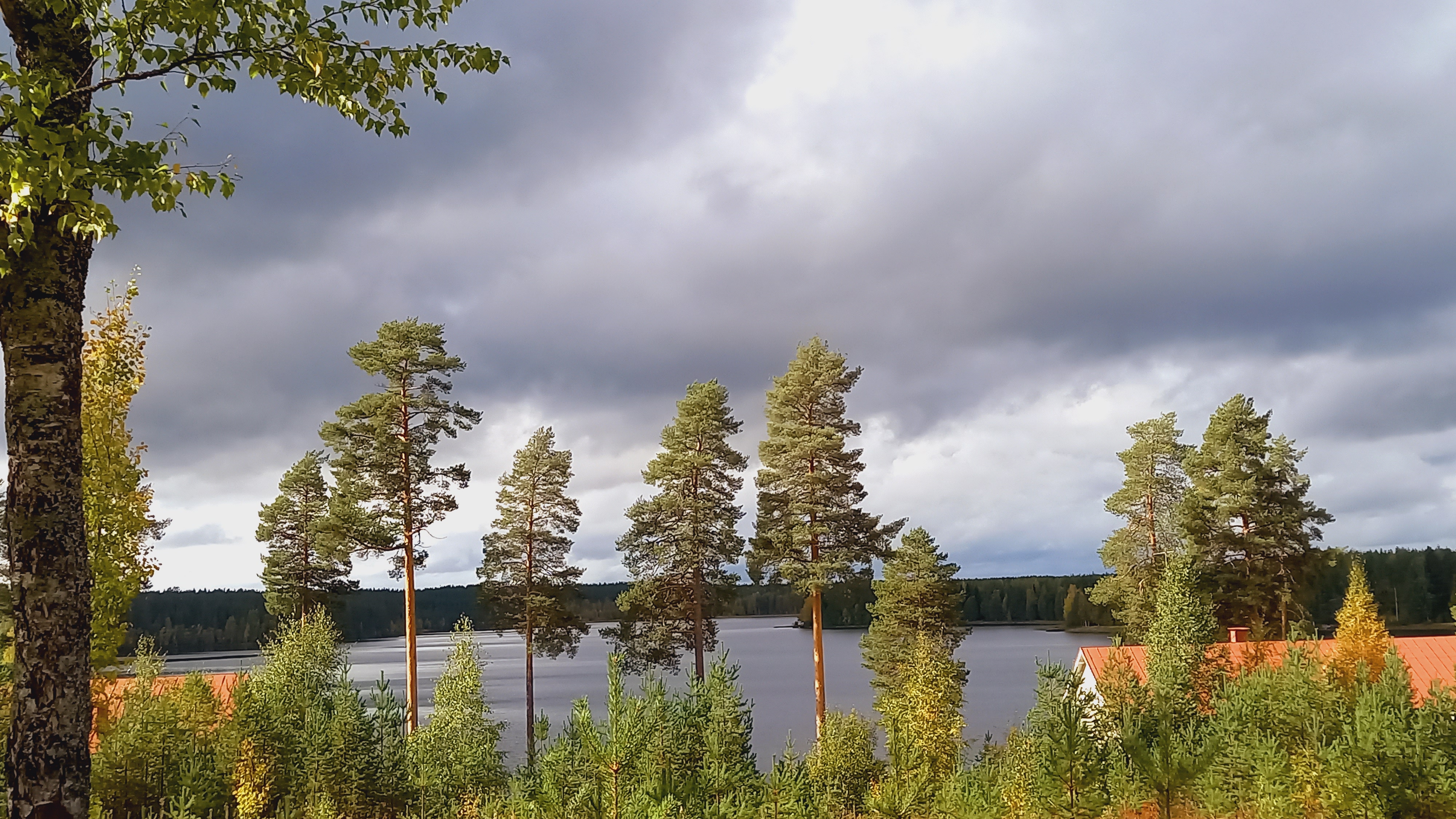 Etualalla mäntyjä, joitten takana punakattoiset rakennukset ja järvi sekä tummia pilviä taivaalla.
