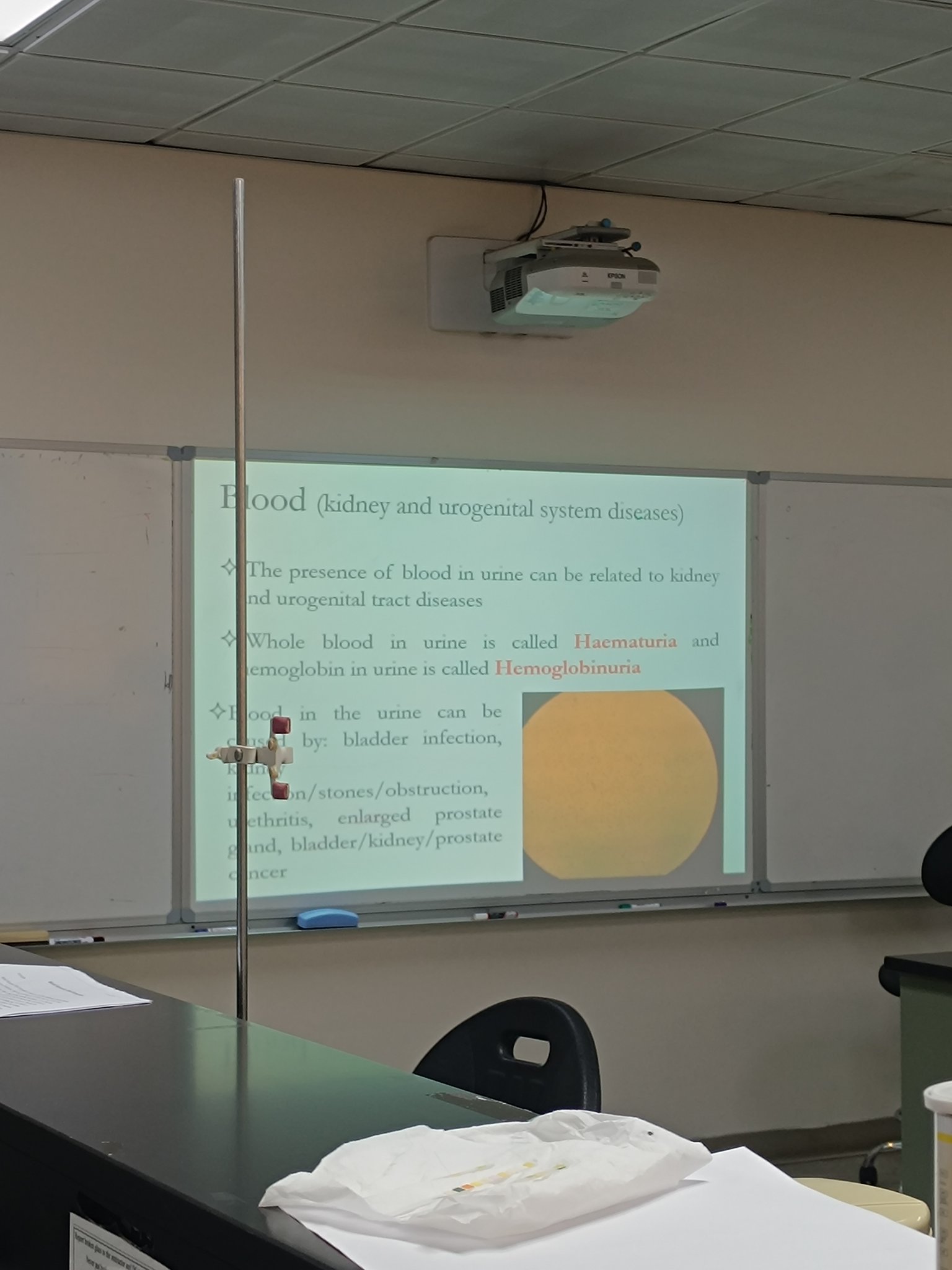 Last Biochem Lab 🎉