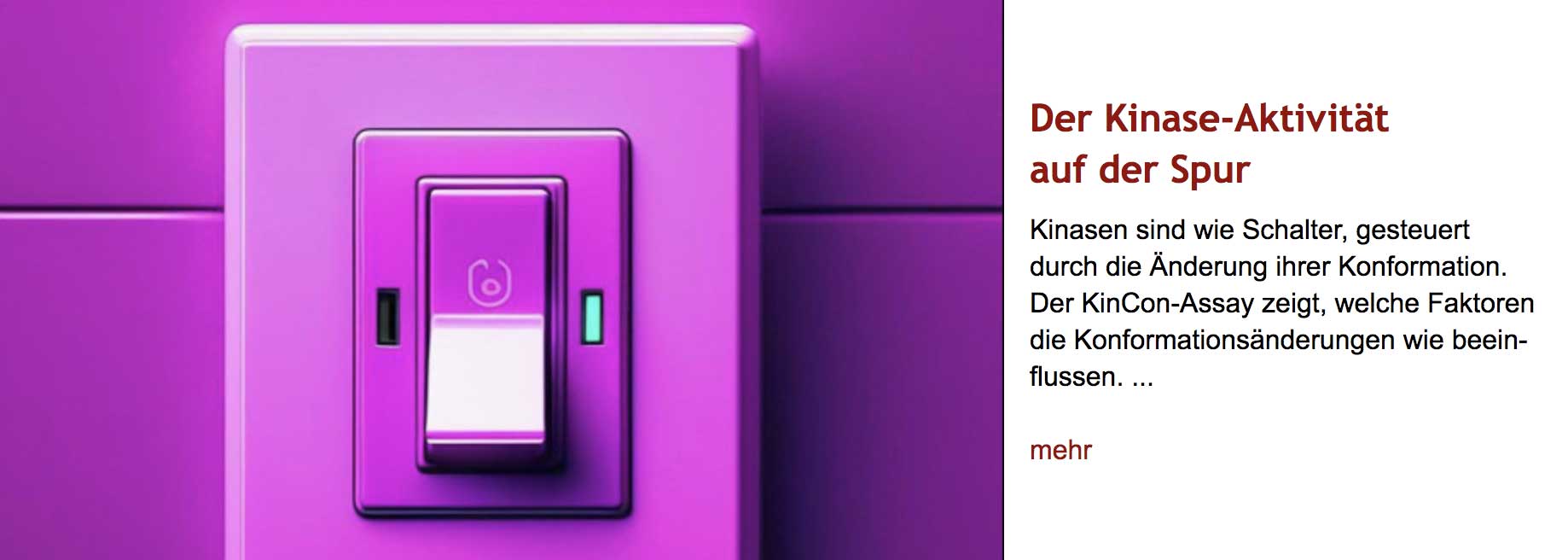 Bild eines lilafarbenen Lichtschalters auf "An". Rechts daneben Überschrift und Vorspann des im Post verlinkten Artikels.