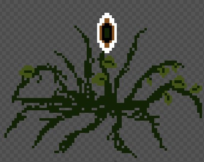 old incomplet concept for the real form