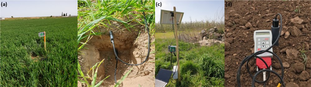 Station de réseau à faible coût de surveillance environnementale (LoNIM) (a) installée au-dessus d’un champ de blé à une profondeur de 5 cm (b). (c) Une photo d’une station passerelle. (d) Le capteur Thetaprobe utilisé pour collecter du SSM sur le site d’Ivars. © Reference