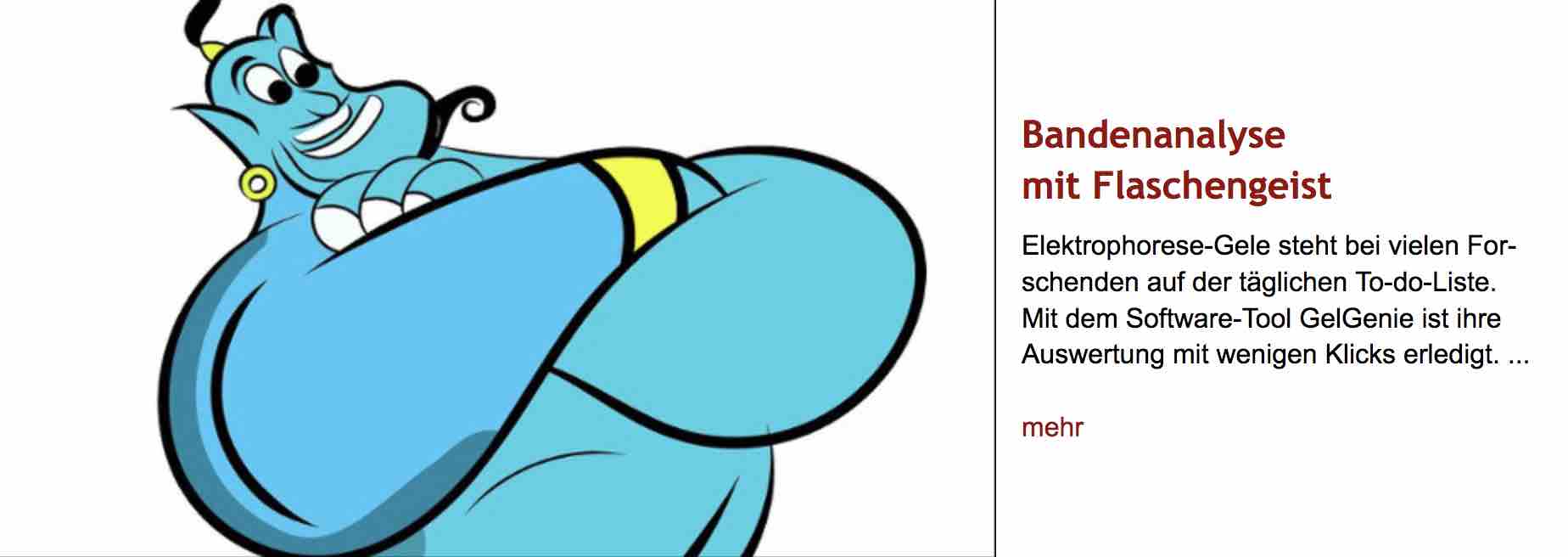 Comiczeichnung eines blauen Flaschengeists als Symbol für eine Software. Rechts daneben Überschrift "Bandenanalyse mit Flaschengeist" des im Post verlinkten Artikels, gefolgt von dessen Vorspann.