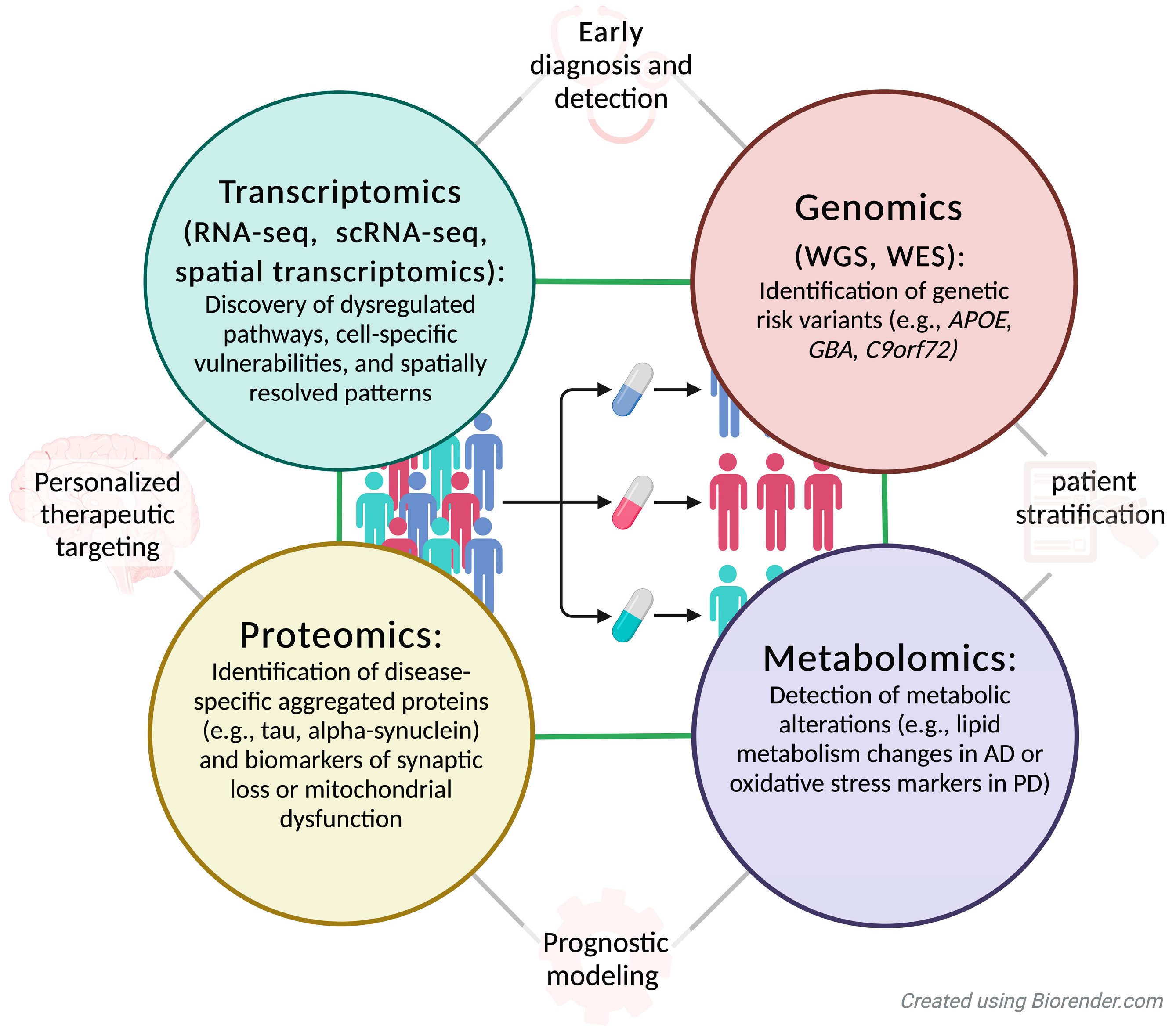 Integration of multi-omics approaches for diagnosis, prognosis, and personalized therapeutics in neurodegenerative diseases. This figure illustrates the integration of multi-omics approaches—genomics, transcriptomics, proteomics, and metabolomics—to advance the understanding, diagnosis, prognosis, and treatment of neurodegenerative diseases. Genomics (e.g., WGS and WES) identifies genetic risk variants, such as APOE, GBA, and C9orf72, that inform disease susceptibility and progression. Transcriptomics techniques (e.g., RNA-seq, scRNA-seq, and spatial transcriptomics) reveal dysregulated pathways, cell-specific vulnerabilities, and spatially resolved expression patterns. Proteomics focuses on identifying disease-specific aggregated proteins (e.g., tau, α-synuclein) and biomarkers of synaptic or mitochondrial dysfunction. Metabolomics detects metabolic alterations, such as lipid metabolism changes in Alzheimer’s disease (AD) or oxidative stress markers in Parkinson’s disease (PD).