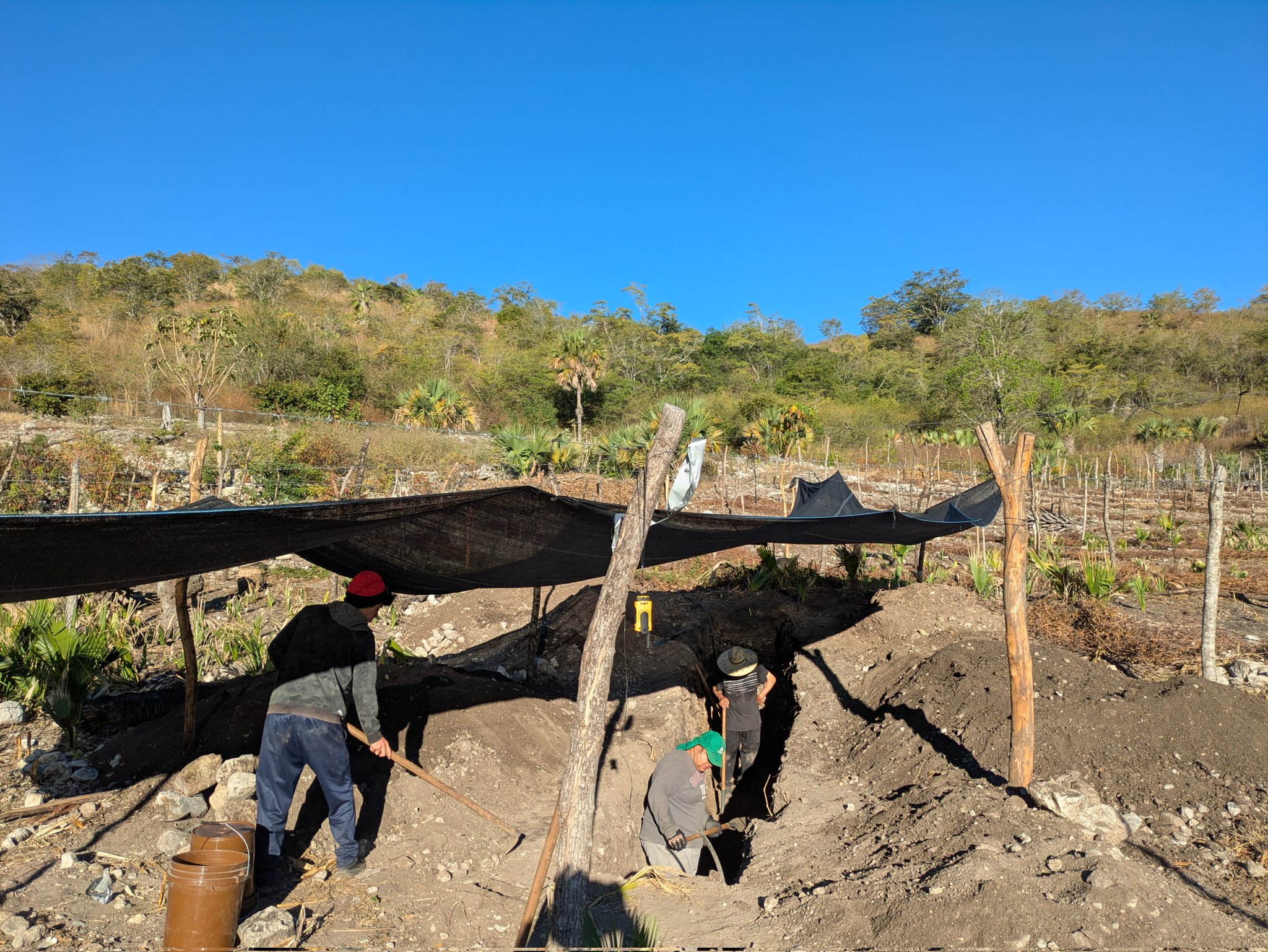 People hand-digging a paleoseismological trench on a farm