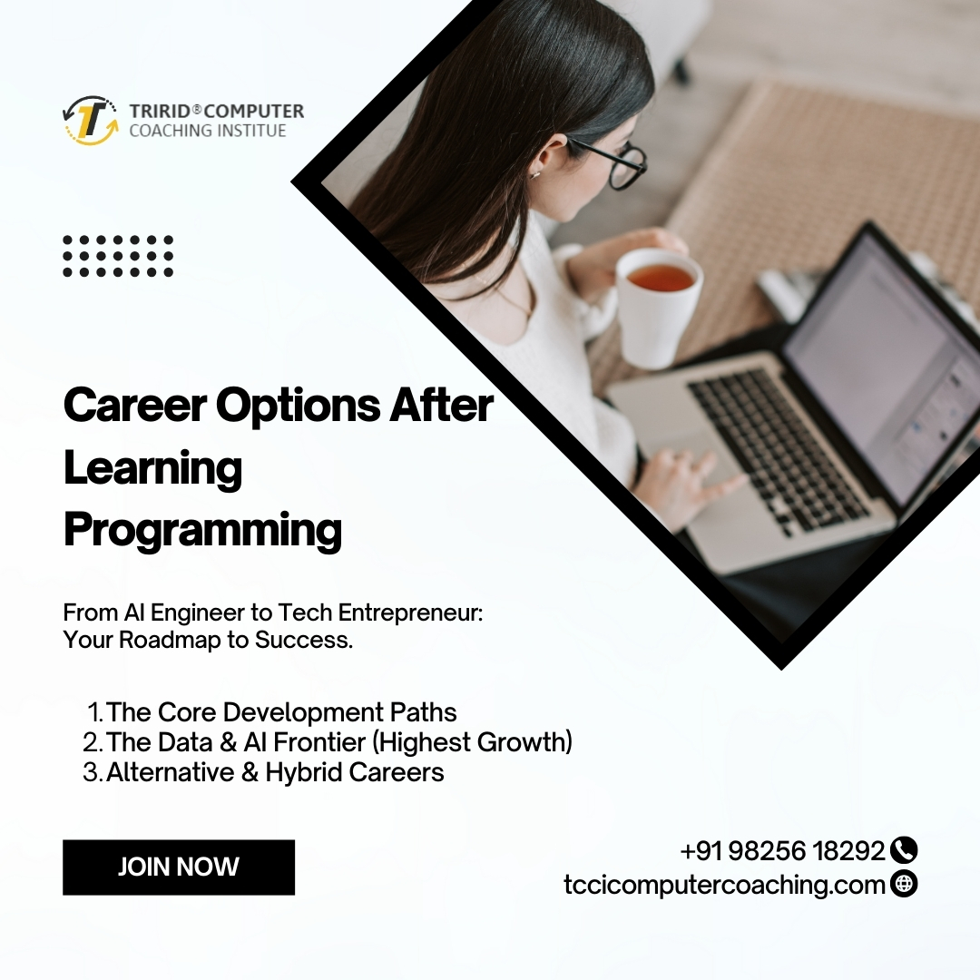 Career Options After Learning Programming