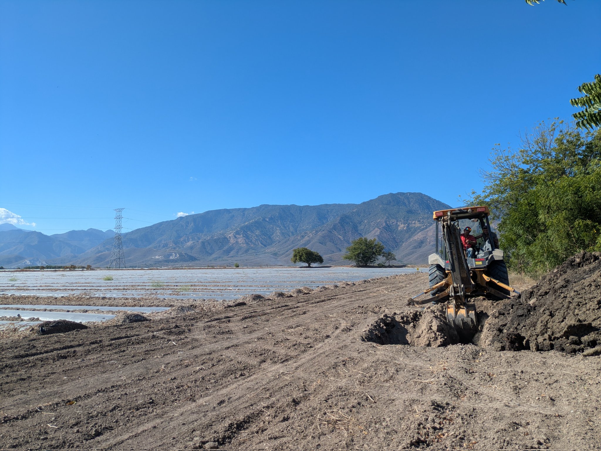 A backhoe opening a trench in a melon farm.