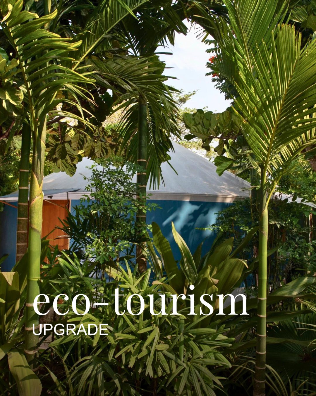 A blue eco-friendly cabin yurt nestled among dense tropical greenery and tall palm trees under a clear sky.