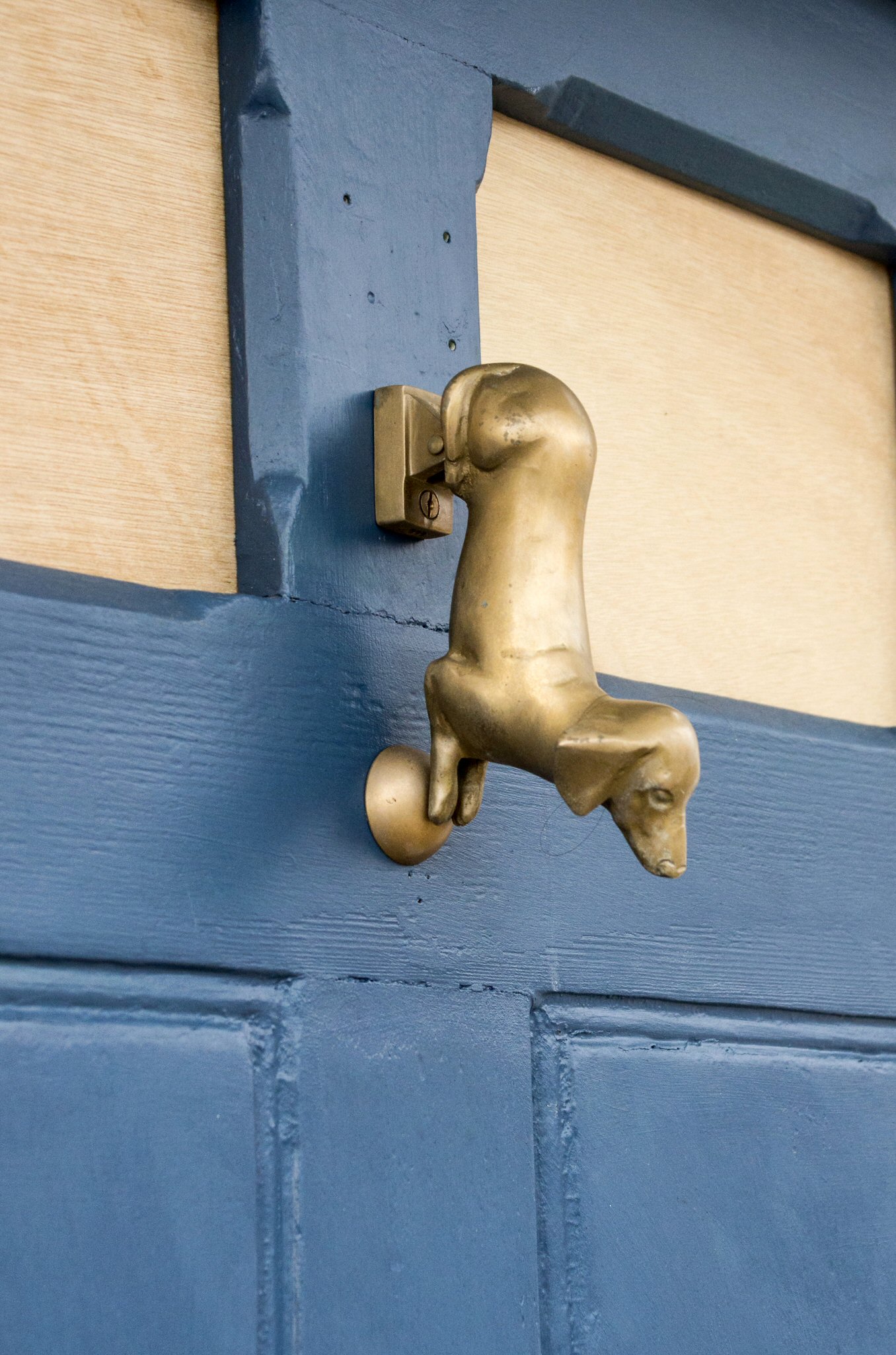 A door knocker in the shape of a dog