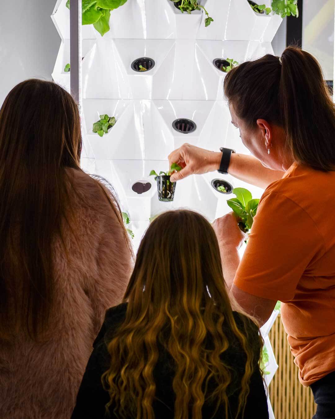 A woman in a burnt orange t-shirt shows off a wall garden to a family of onlookers.