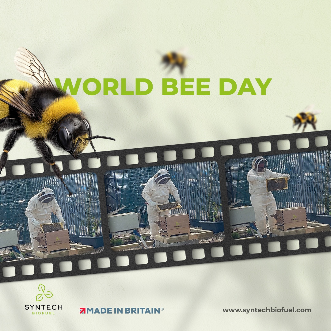 Mike Olone, Syntech Biofuel Beekeeper on World Bee Day.