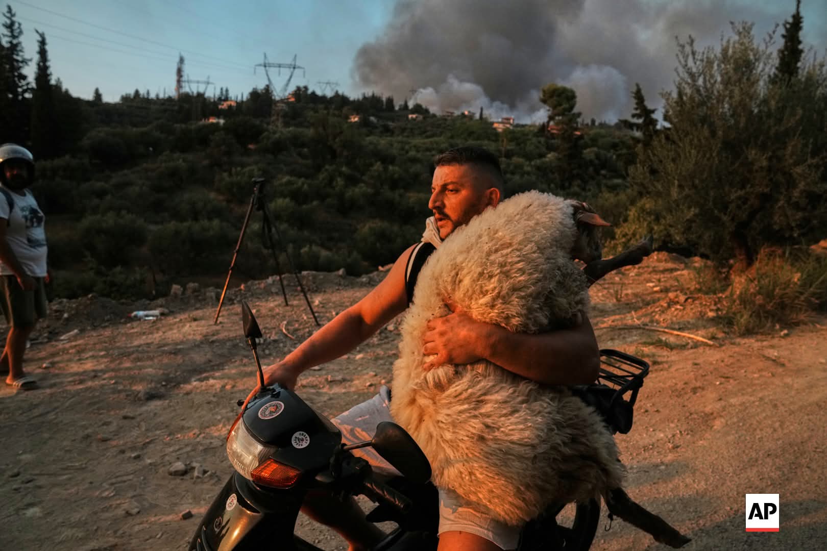 photo Thanassis Stavrakis 