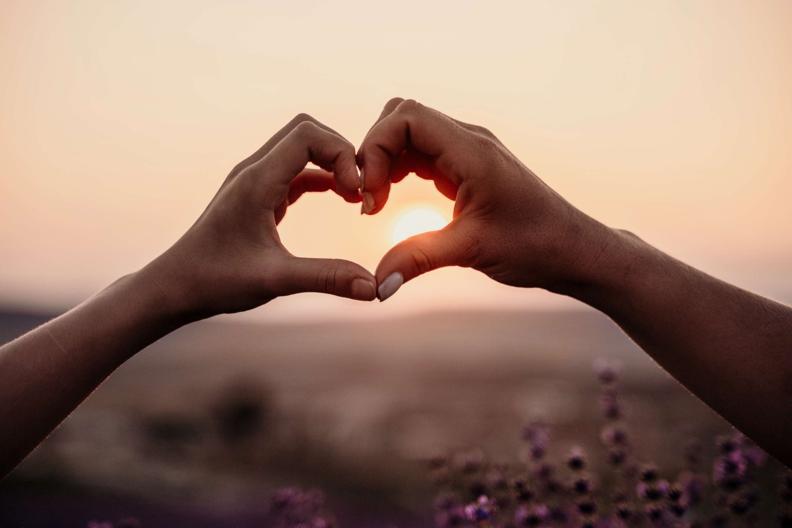 Two hands forming a heart shape 