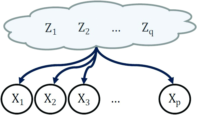 Observed variables X are describable via latent variables Z.