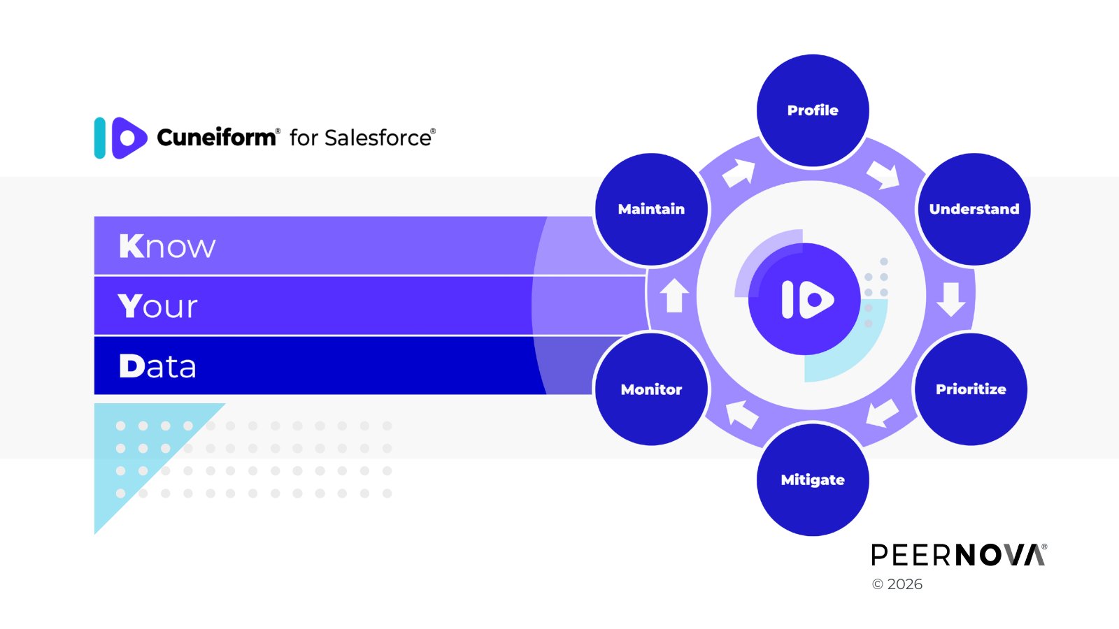 Cuneiform for Salesforce
Know Your Data (KYD)
Profile, Understand, Prioritize, Mitigate, Monitor, Maintain
PeerNova 2026