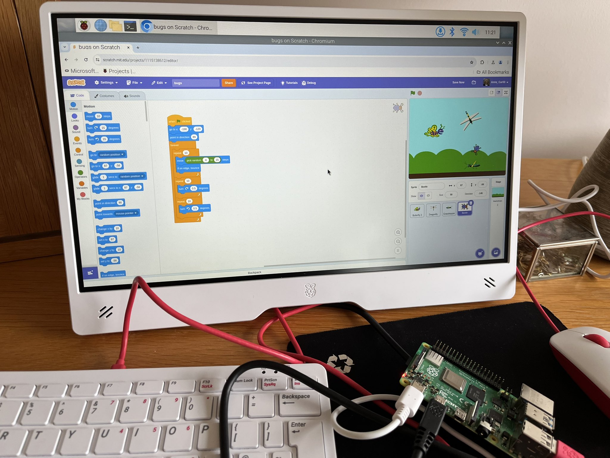 Scratch coding with image of bugs in field