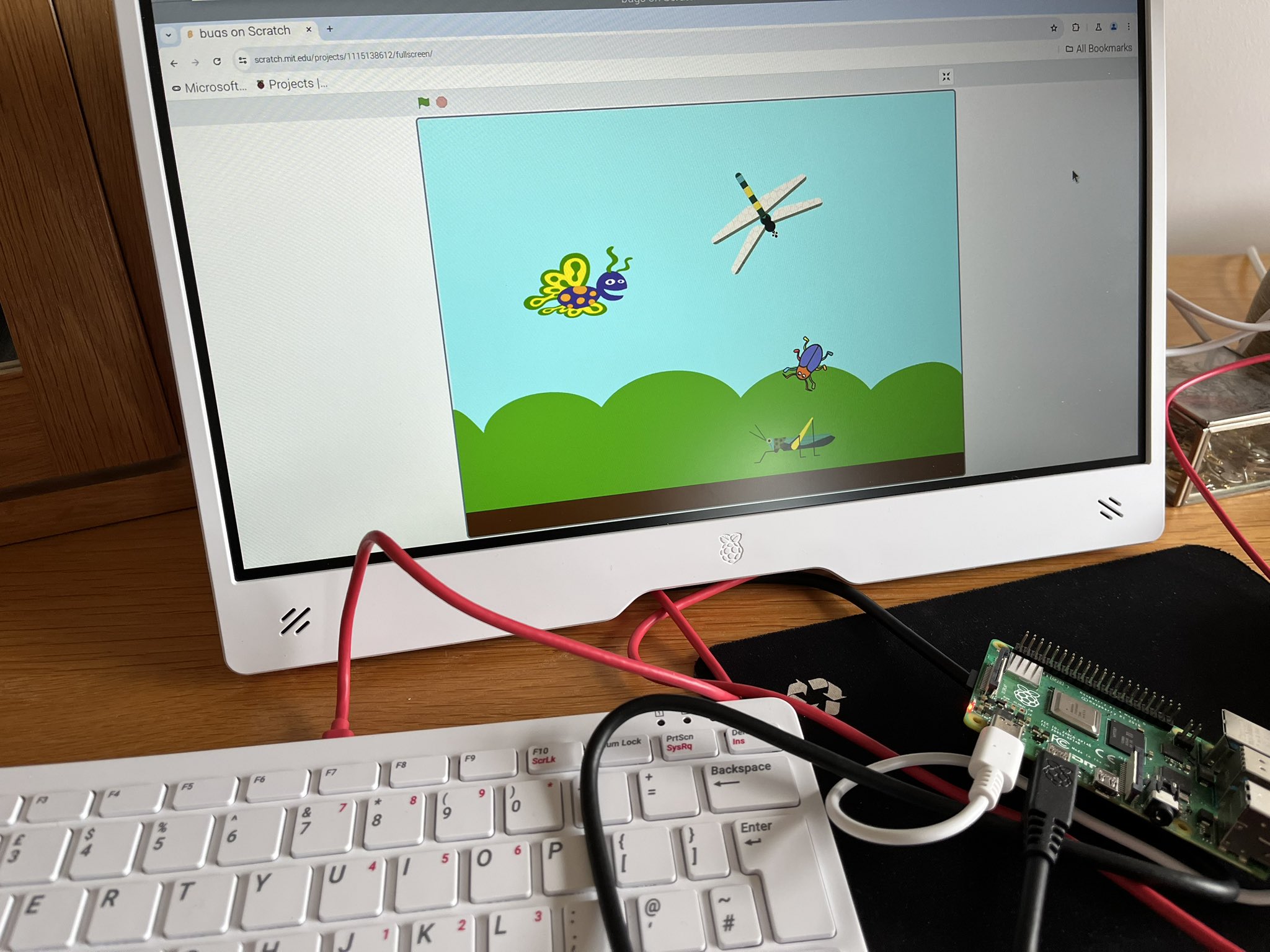 Image of field with bugs