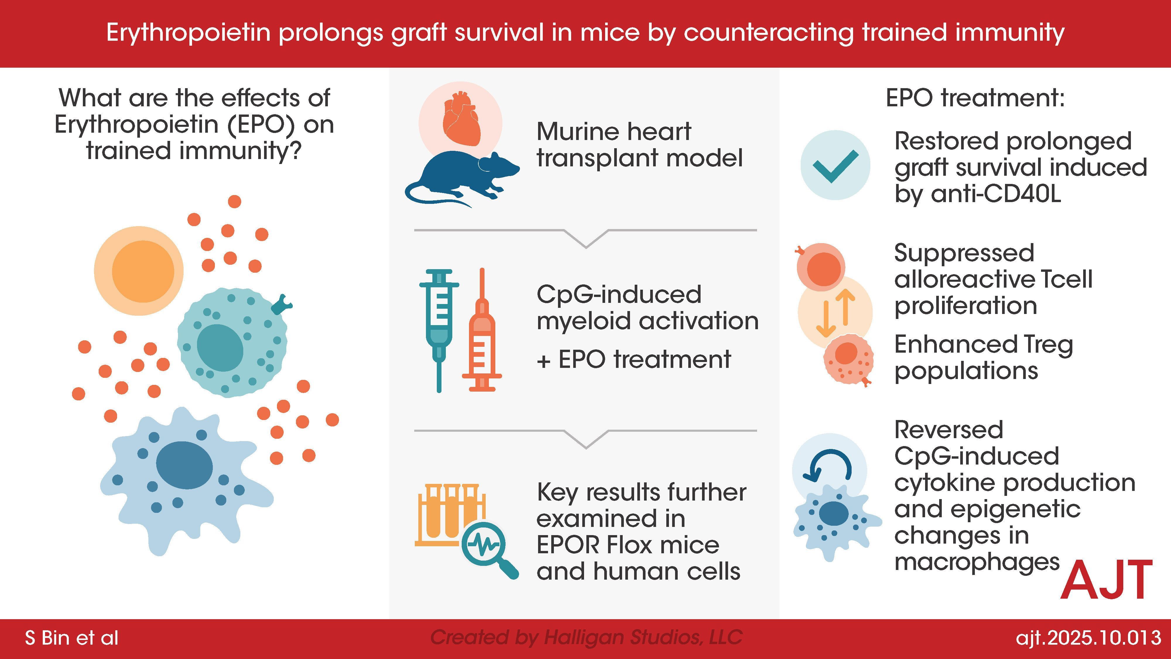 Visual abstract to accompany article