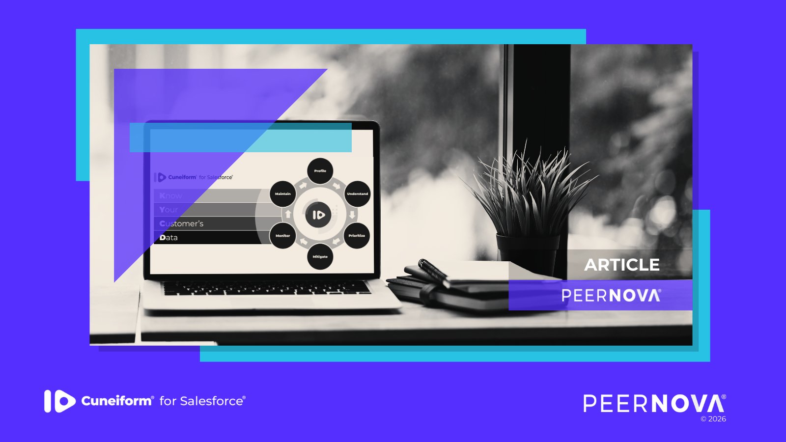 Know Your Customer's Data (KYCD)
Article
PeerNova 2026
Cuneiform for Salesforce
