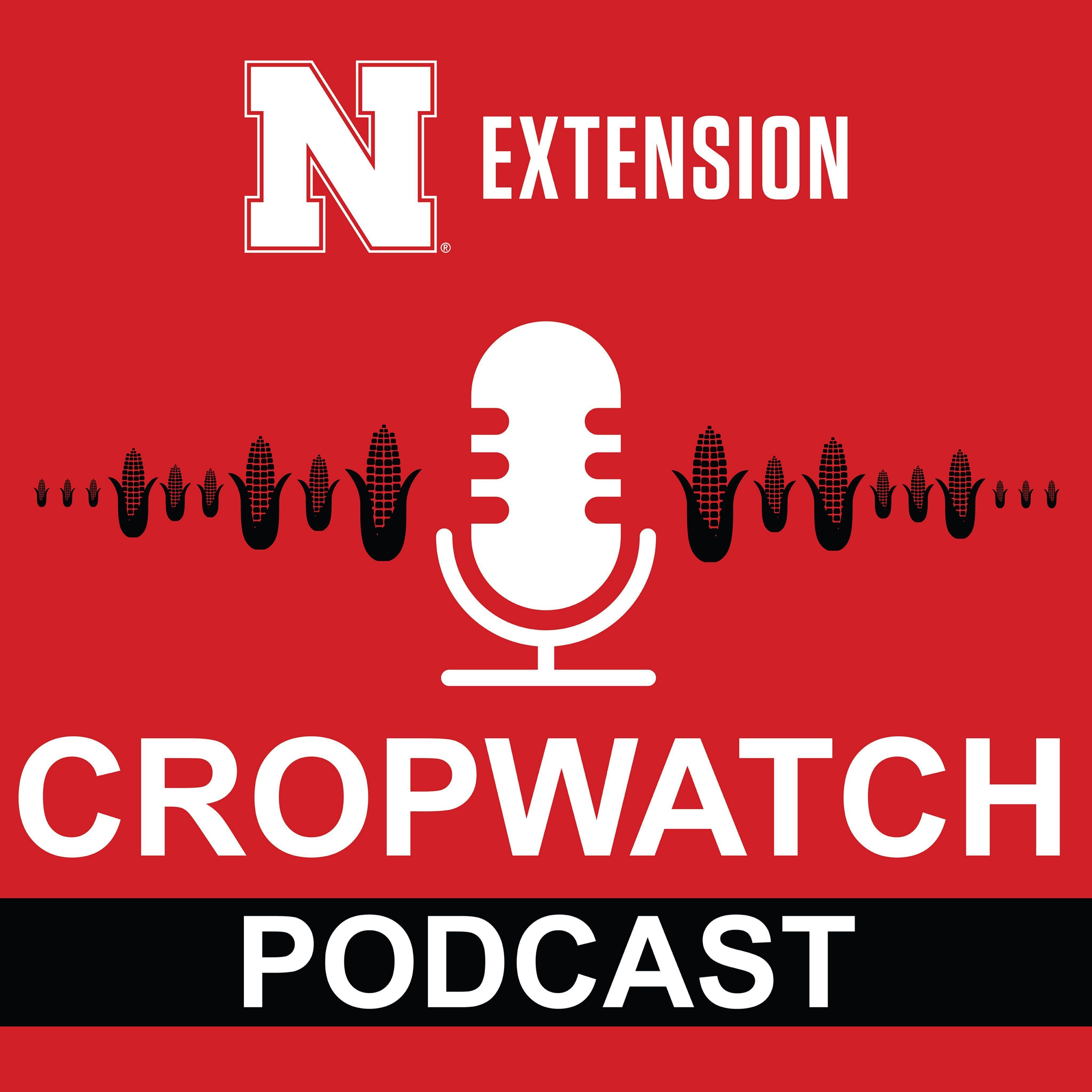 Red graphic with Nebraska “N Extension” logo above a microphone and corn icons, with the words “CropWatch Podcast” in large white text.