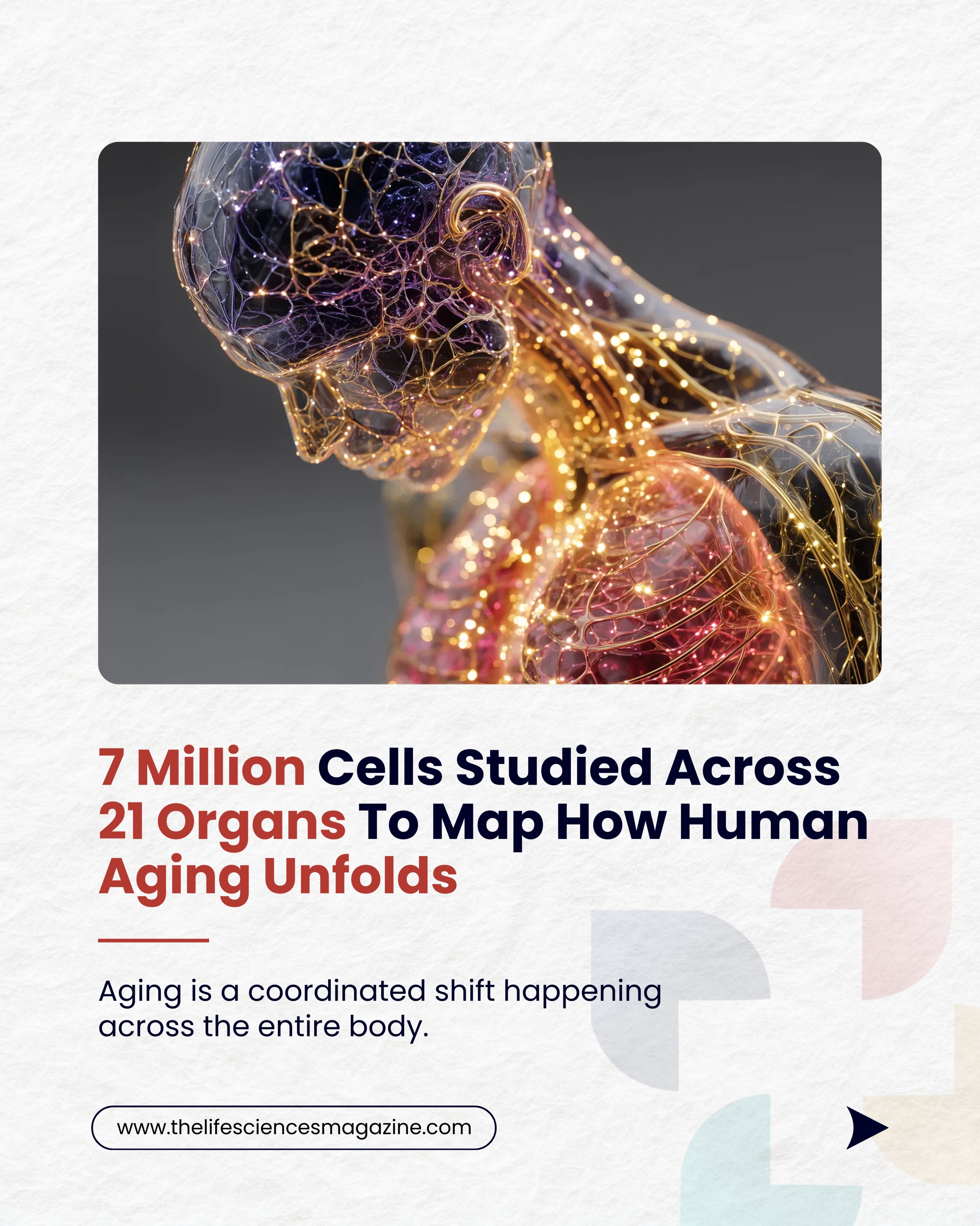 Magnifying glass over a chart showing top R&D spenders: China ($785.9B), US ($781.8B), Japan, Germany, and South Korea.