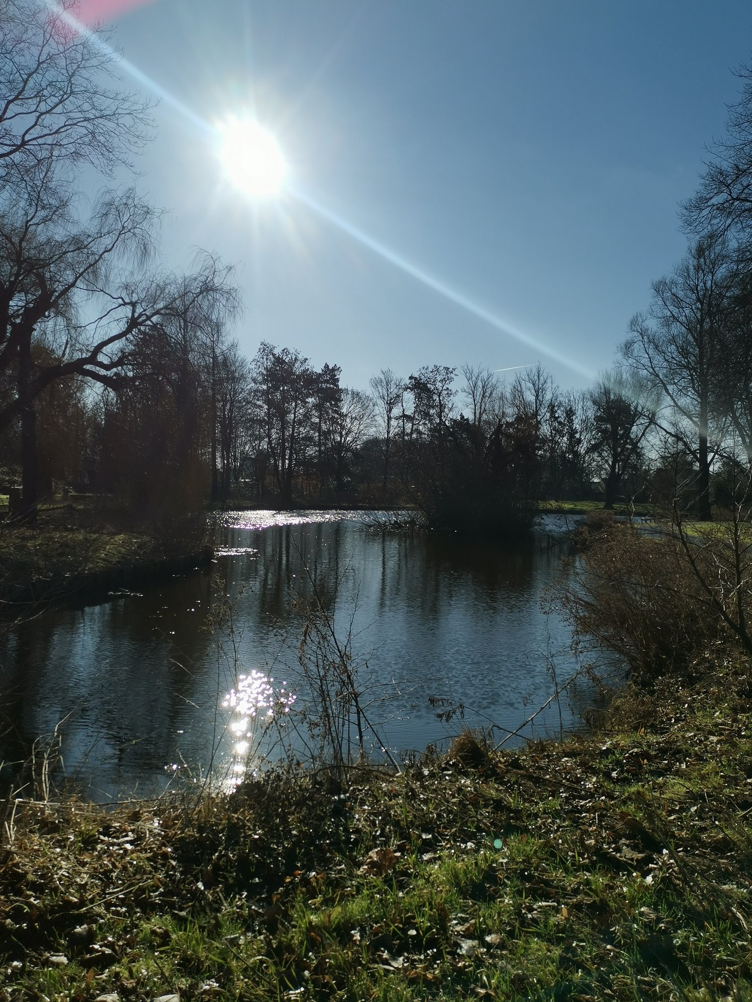 Zon schijnt volop over bomen en water 