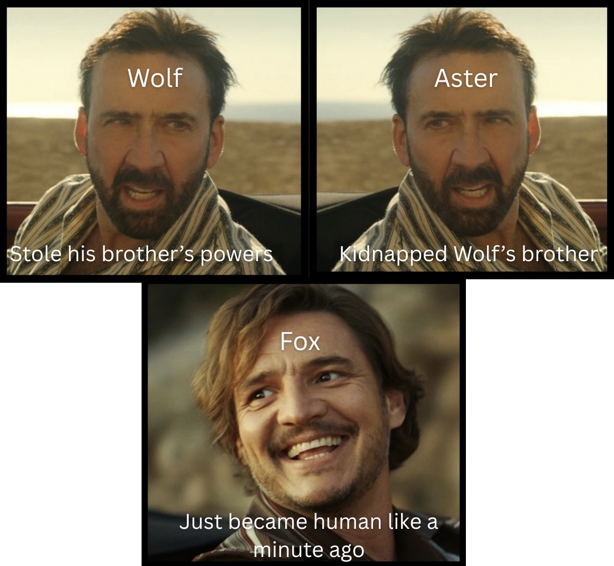 A take on the Nicolas Cage and Pedro Pascal meme where mirrored images of Nicolas Cage are looking at each other. One is labeled Wolf and says “Stole his brother’s power” while the other is labeled Aster and says “Kidnapped Wolf’s brother Below is the image of Pedro Pascal, labeled Fox and saying “Just became human like a minute ago.”