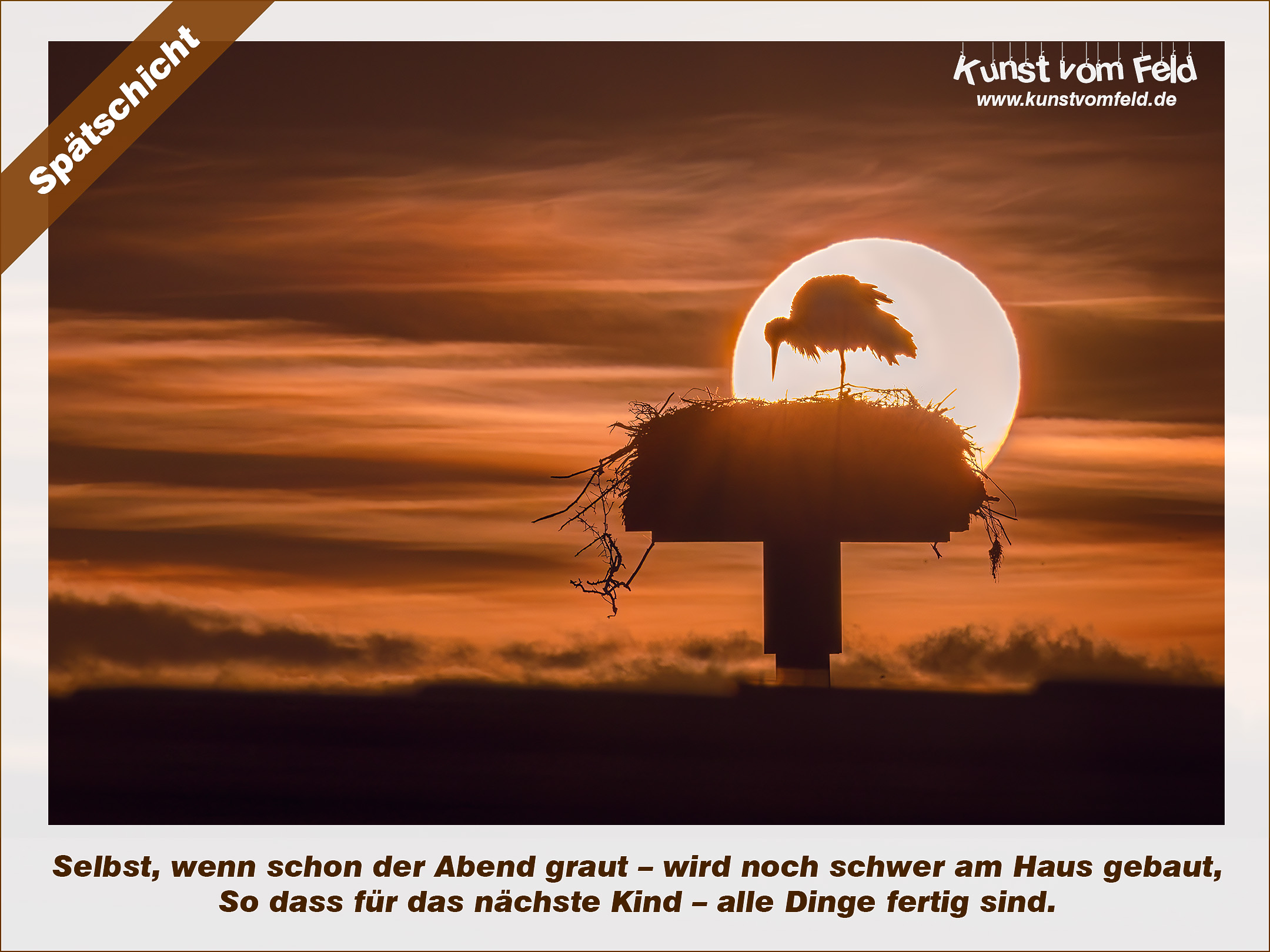 Schon gewusst?

Das Nest des Weißstorchs (Ciconia ciconia) wächst über Jahrzehnte, da jedes Jahr neues Material wie Äste, Reisig und Grassoden hinzugefügt wird. So kann das Nest – auch Horst genannt – eine Höhe von über zwei Metern erreichen und bis zu zwei Tonnen wiegen. Wegen der enormen Ausmaße ziehen oft „Untermieter“ in die unteren Etagen ein. Spatzen, Hausrotschwänze oder Stare bauen ihre Nester einfach in die Seitenwände des riesigen Storchenbaus. Während das Äußere aus groben Ästen besteht, wird die Nestmulde weich ausgepolstert. Störche nutzen dafür Heu, Stroh, Moos und leider oft auch Zivilisationsabfälle wie Plastiktüten oder Bindfäden, was für die Jungvögel gefährlich werden kann.

Spätschicht — www.kunstvomfeld.de #kunstvomfeld #storch #naturfotografie #wildlifebeauty #adebar #truehdr