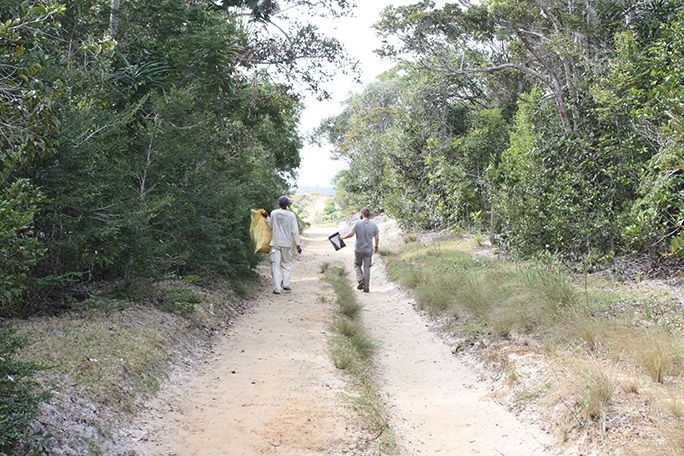 #FridayVibes #FridayFun #InternationalDayofHappiness, #FrenchLanguageDay #WorldFrogDay, #RewildingDay #WorldStorytellingDay #volunteer #volunteering #conservation #Madagascar #littoral #rainforest #forests #SainteLuce #forest #frog #amphibian  #French #happiness #volunteers #transects #endangered #palms #lemurs #geckos #dragonflies #rewilding #science #wild