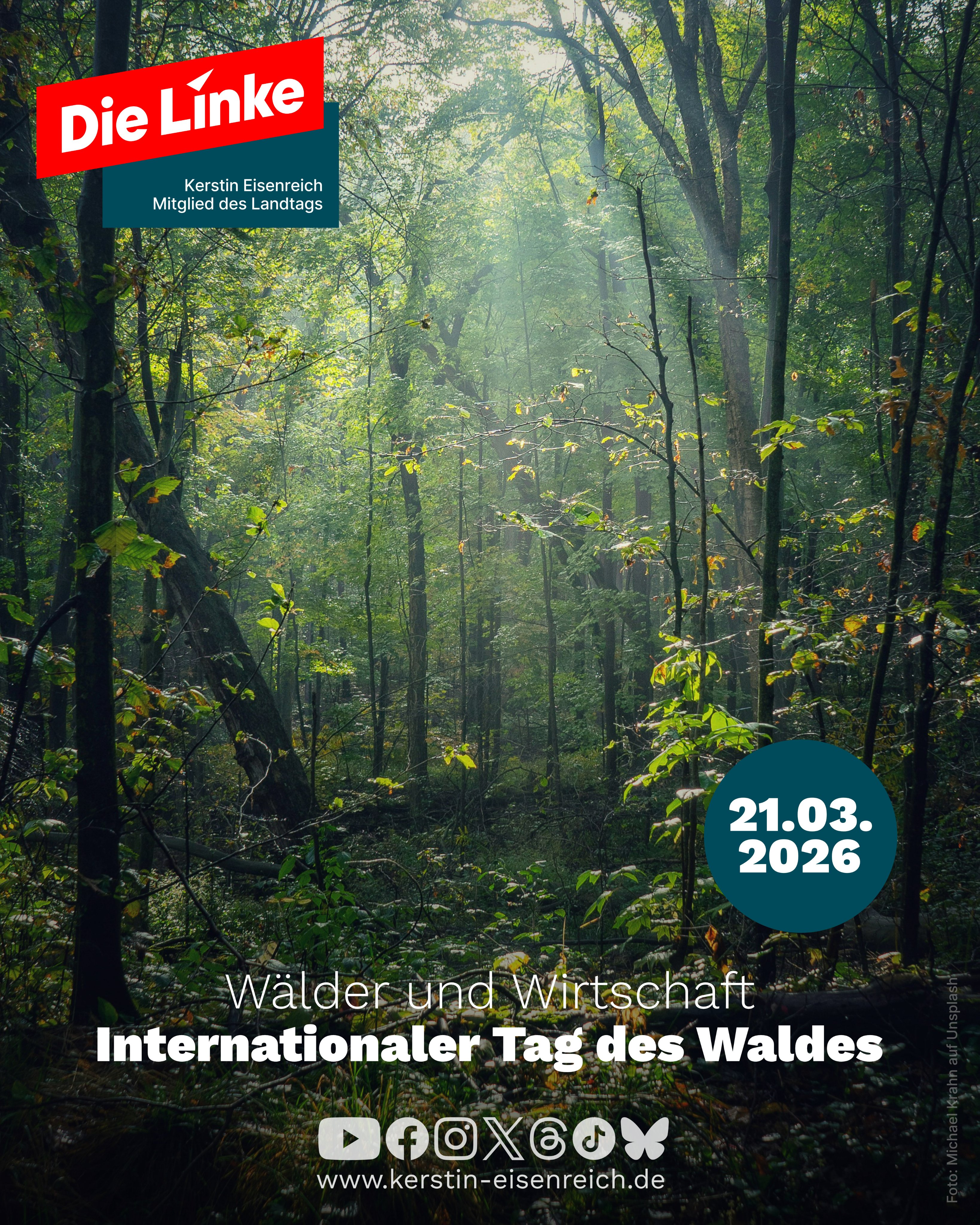 Das Sharepic zeigt das Bild eines dichten Laubwaldes, davor der Schriftzug „Wälder und Wirtschaft“ als Motto des heutigen Internationalen Tags des Waldes (21.03.26).
