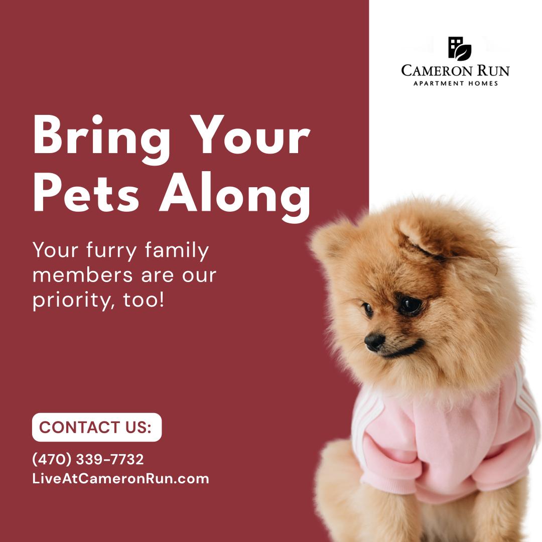 Bring Your Pets Along - Your furry family members are our priority, too! - Contact Us: - (470) 339-7732 - LiveAtCameronRun.com