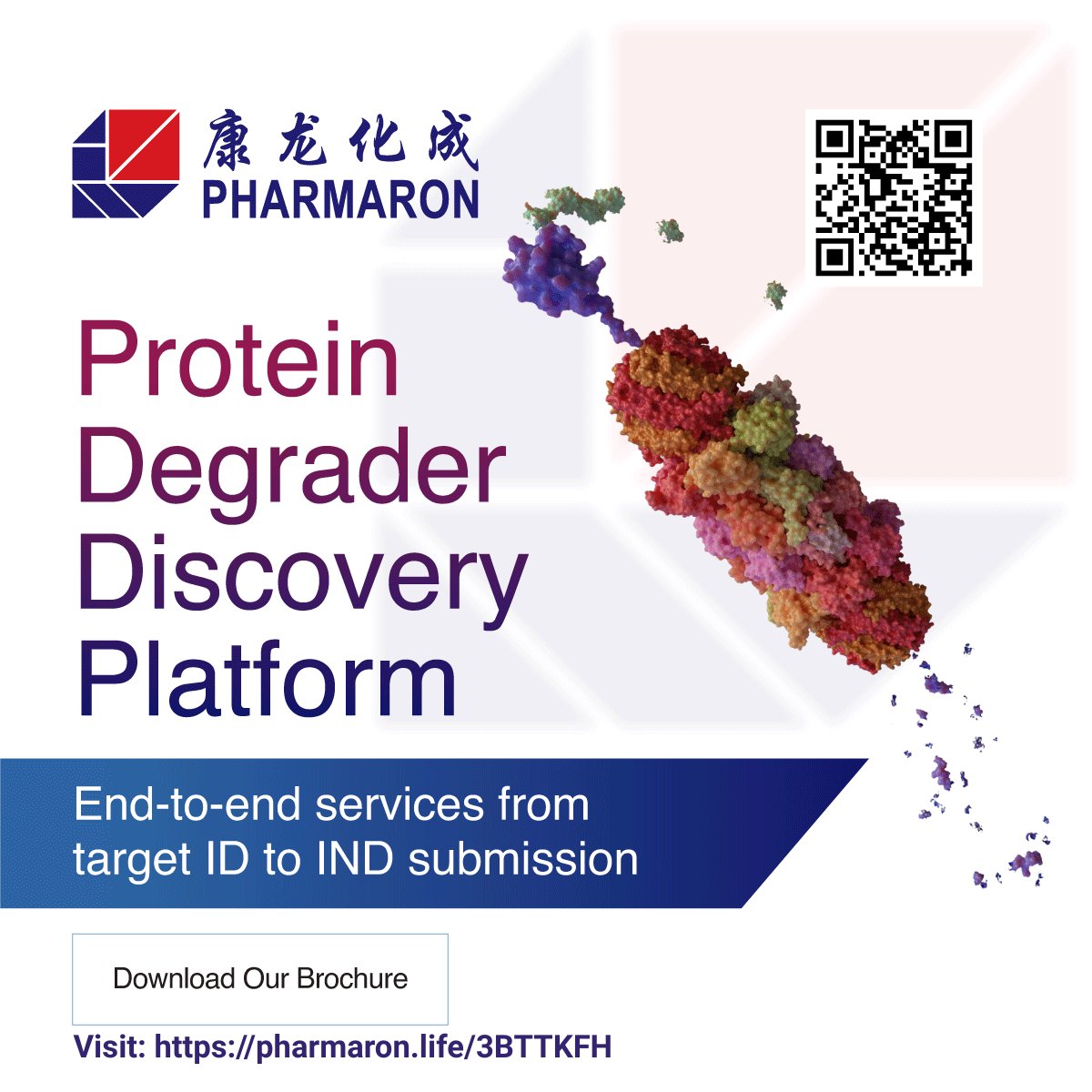 Promotional image for Pharmaron's Protein Degrader Discovery Platform, featuring a colorful 3D molecular model and QR code. Text highlights end-to-end services from target identification to IND submission. Includes a button to download the brochure and a URL: https://pharmaron.life/3BTTKFH.