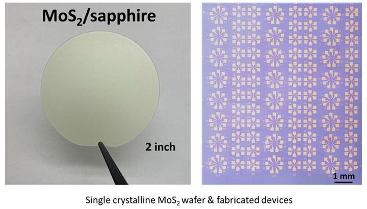 Single crystalline MoS2 wafer & fabricated devices.
Provided by the University of Tokyo