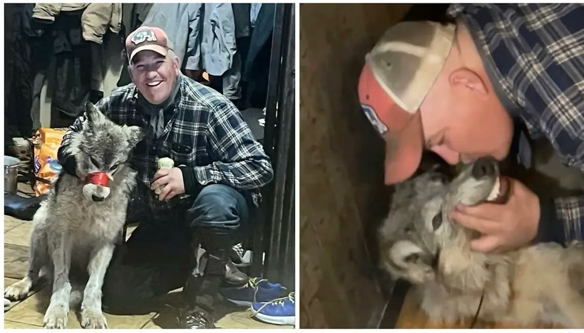 The wolf in the Green River Bar did not suffer because of one man alone. She suffered because of a culture—one steeped in an irrational, deeply ingrained hatred of wolves, fed for generations by fear-mongering myths, deliberate lies, and simmering resentment. That cruelty was not an anomaly; it was the natural product of a society that has long taught people to despise what they refuse to understand.