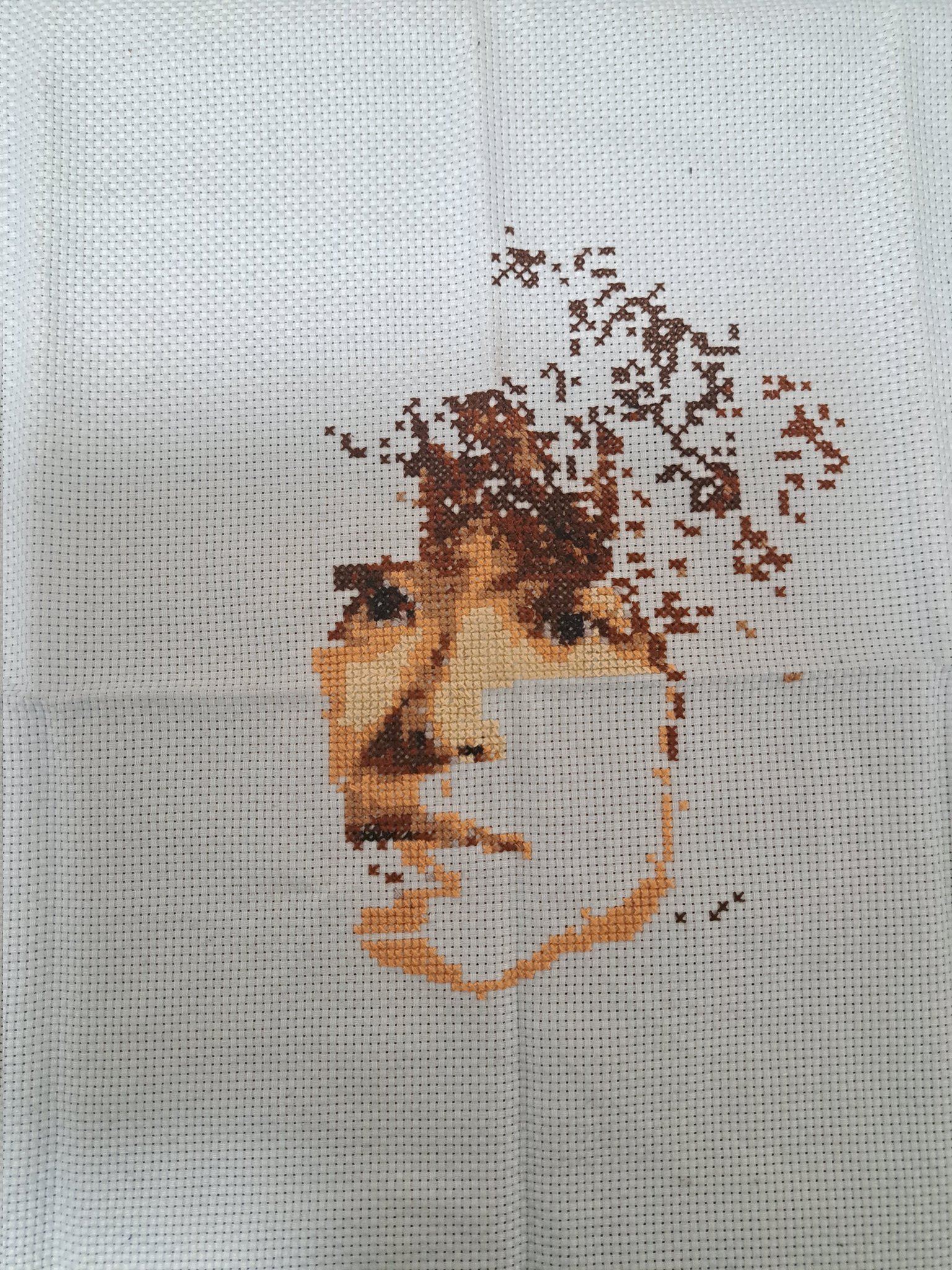 今日の午前使ってのアフター