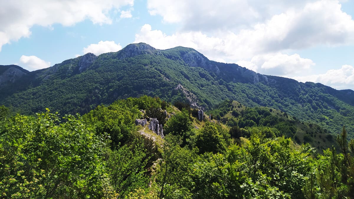 Monte Zaccana
Foto ©Pollinofantastico