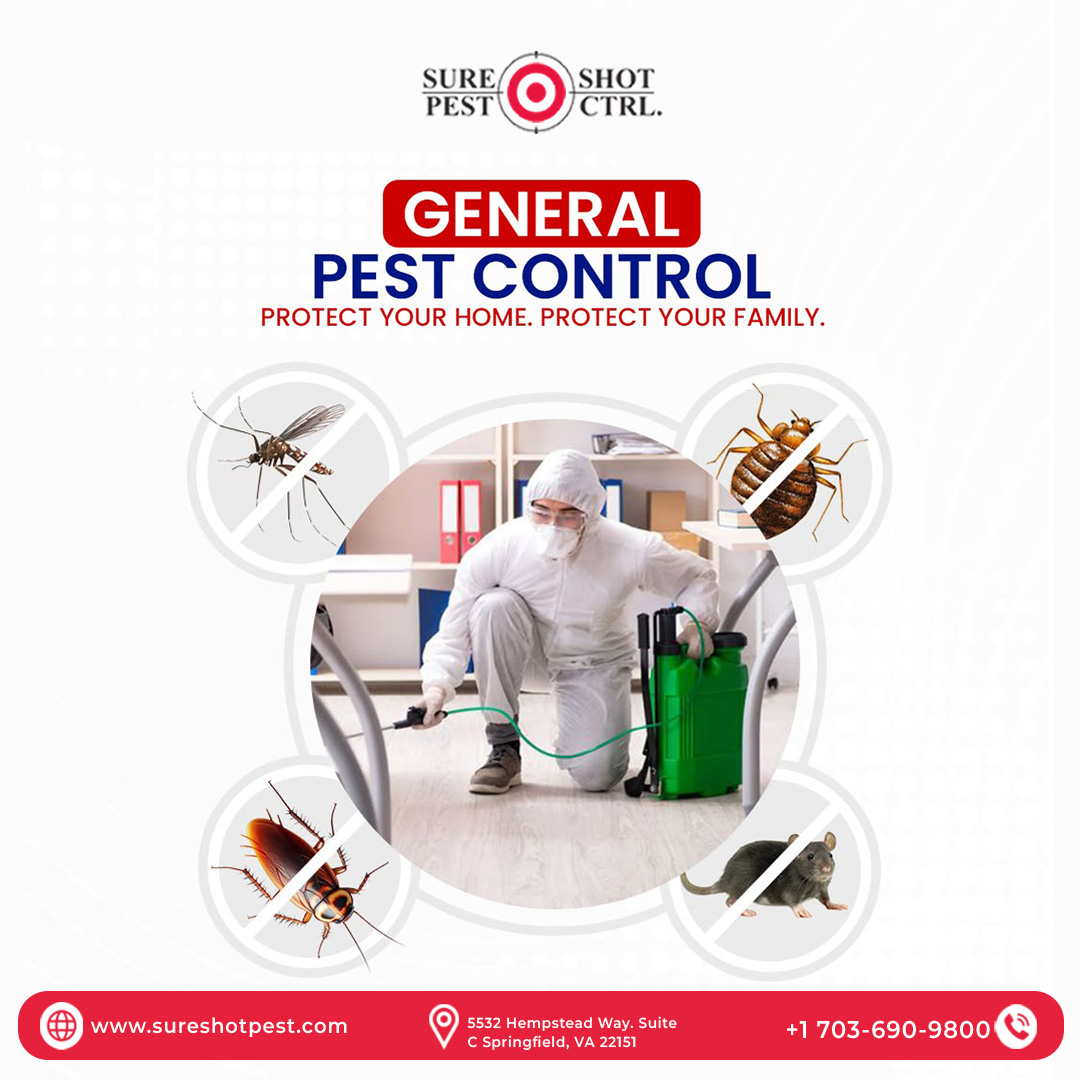 General Pest Control for a Safer Home Keep your home pest-free and your family protected with reliable general pest control services from Sure Shot Pest Control.