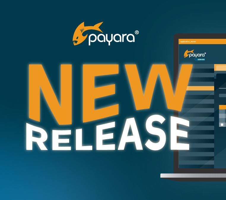 Payara “New Release” promotional graphic featuring the Payara logo above large orange and white “NEW RELEASE” text, with a stylized server dashboard interface displayed on a monitor against a teal background.