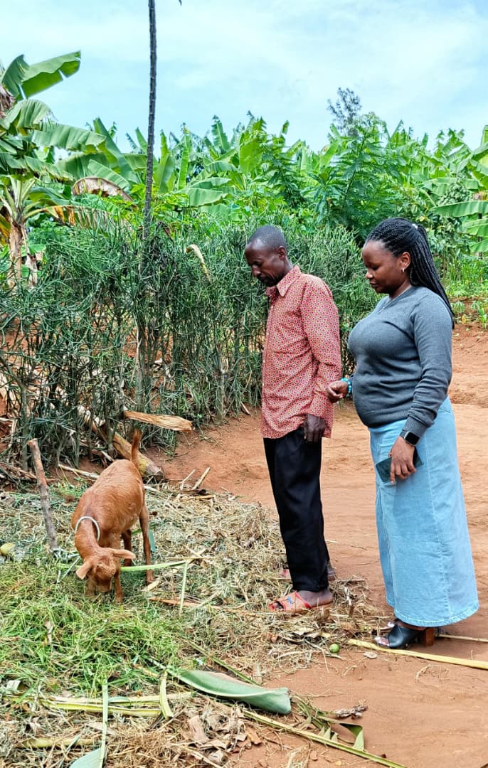 Twiyubakire Program/Strengthening social cohesion in post genocide communities.