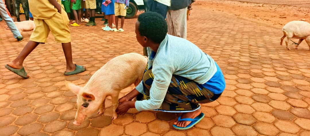 Twiyubakire Program/Strengthening social cohesion in post genocide communities.