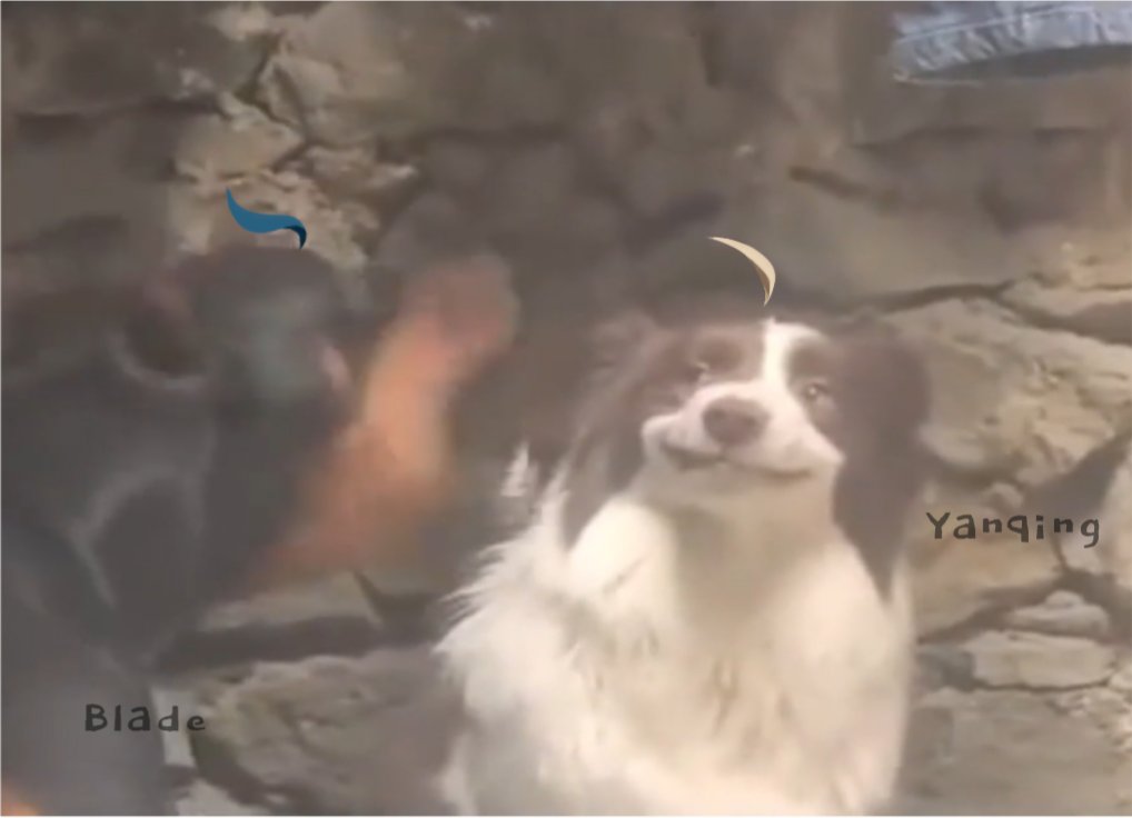 I really like this fic