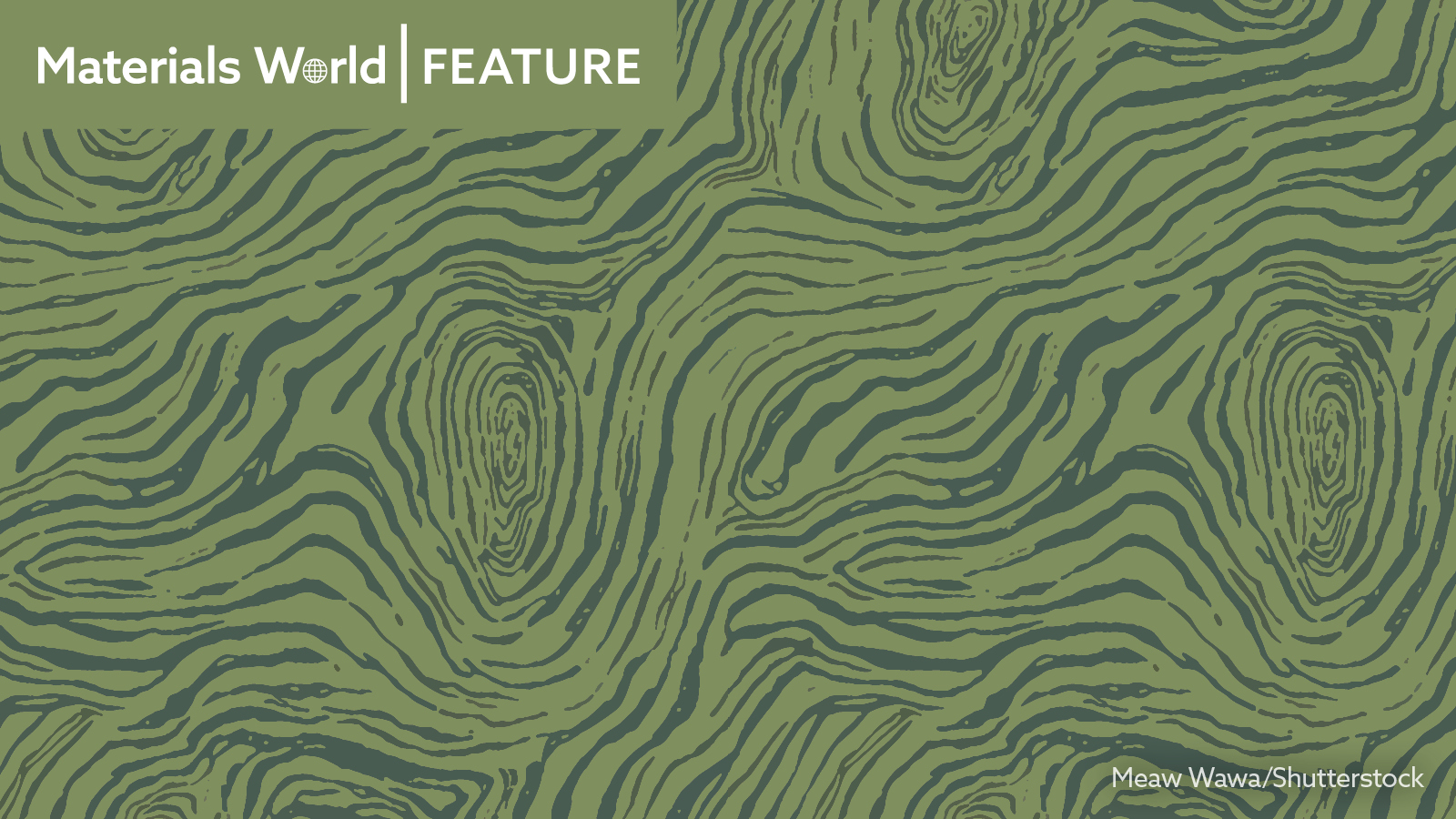 Wood pattern against a green background
Credit: Meaw Wawa/Shutterstock