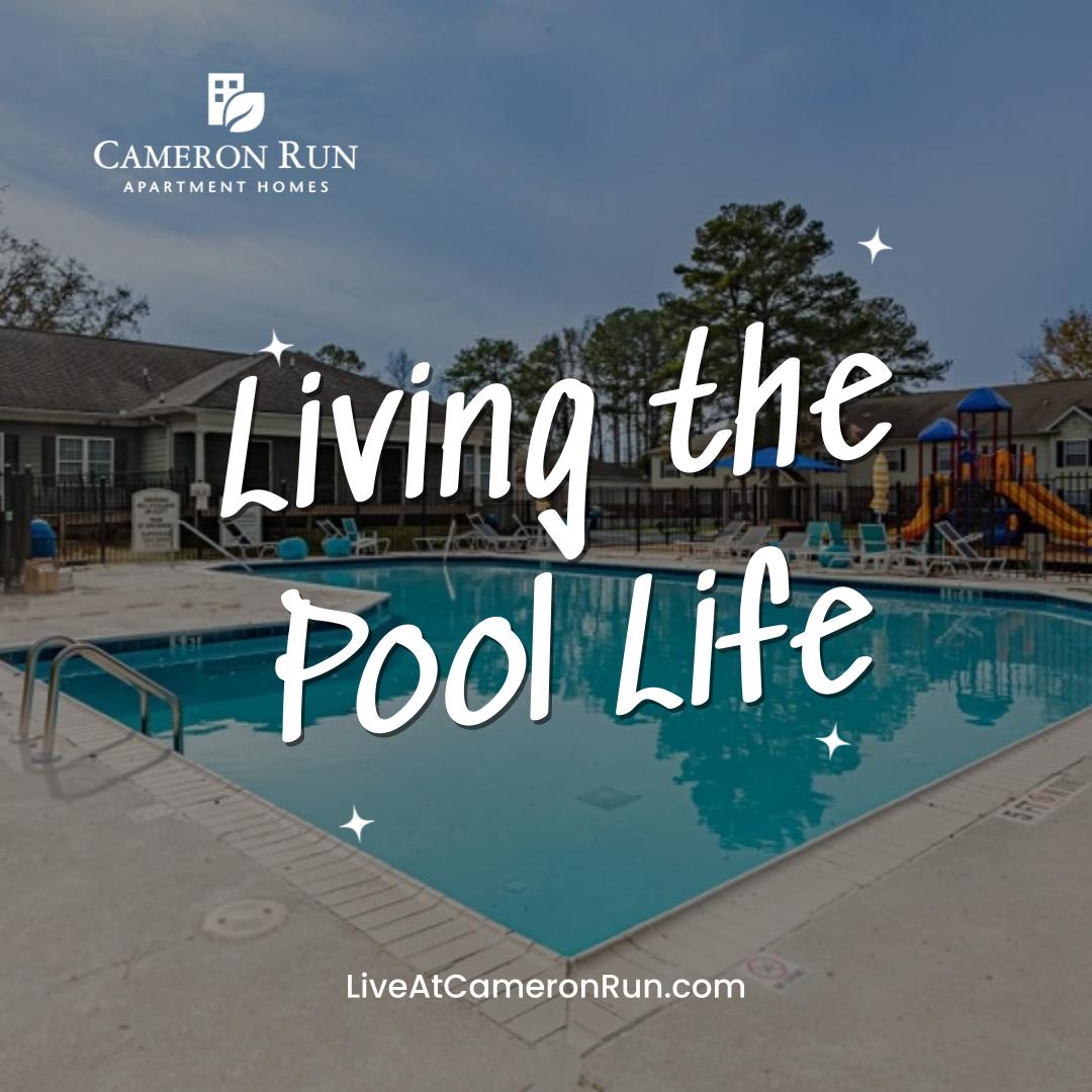 Living the Pool Life - LiveAtCameronRun.com