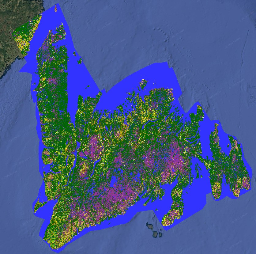 Agriculture Canada's 2025 Annual Crop Inventory (ACI) of Newfoundland overlaid on top of a Google Earth satellite image background. The ACI classifies individual crop types and surrounding land covers throughout the province.