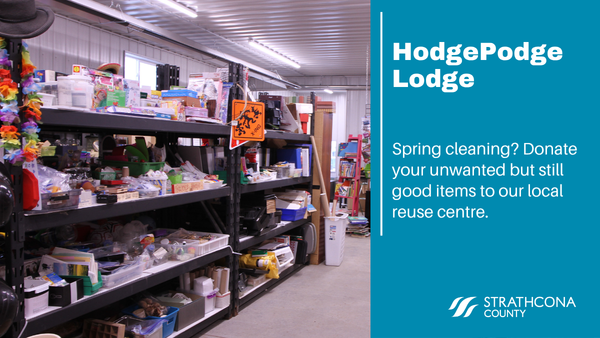 Rows of shelves displaying a variety of secondhand items at the HodgePodge Lodge.