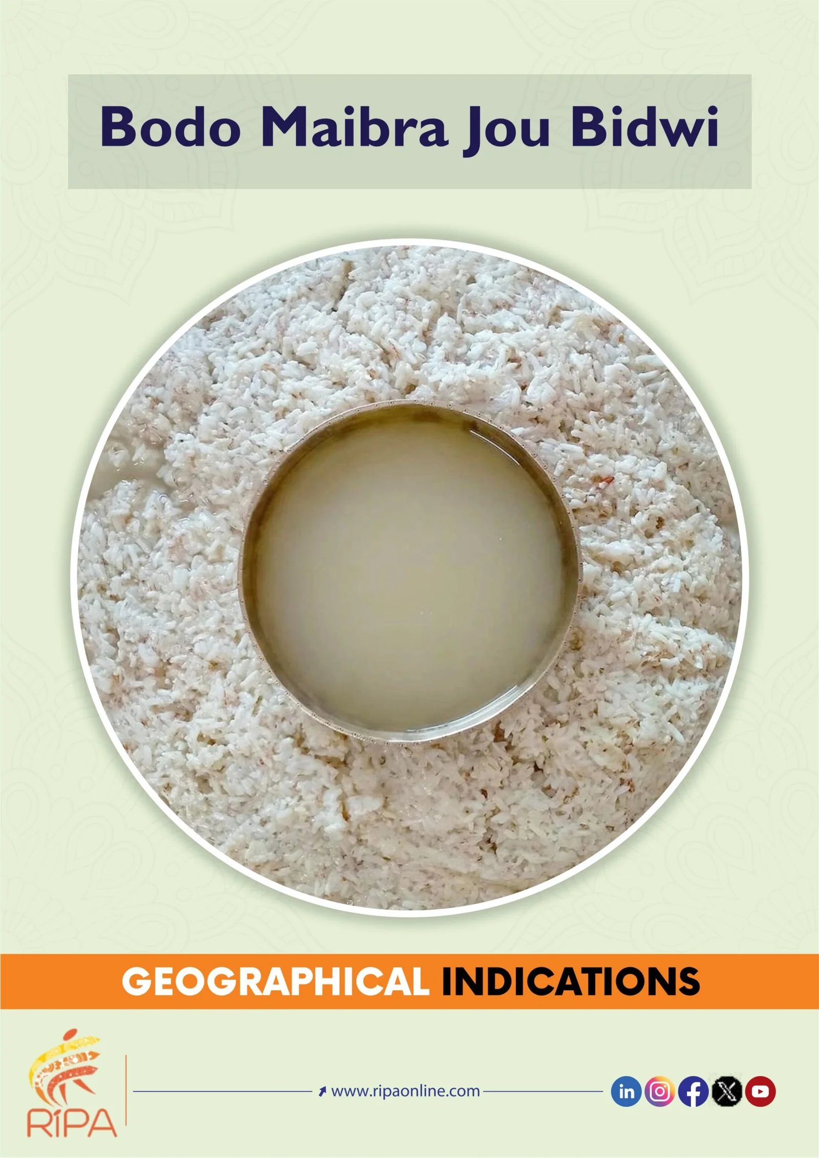 Bodo Maibra Jou Bidwi is a traditional rice beer of the Bodo community in Assam, India. It is traditionally served as a welcome beverage to guests and during festivals.