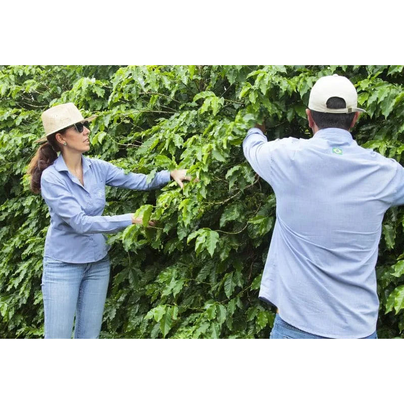 Quaffee Brazil Monte Carmelo coffee