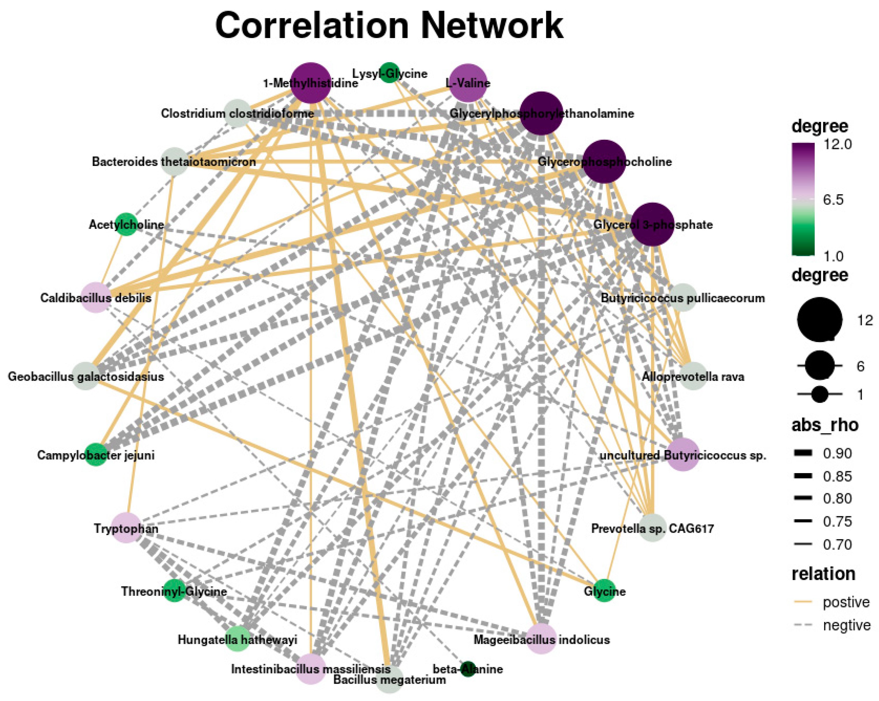  Correlation network analysis between gut microbiota and liver metabolome in piglets.