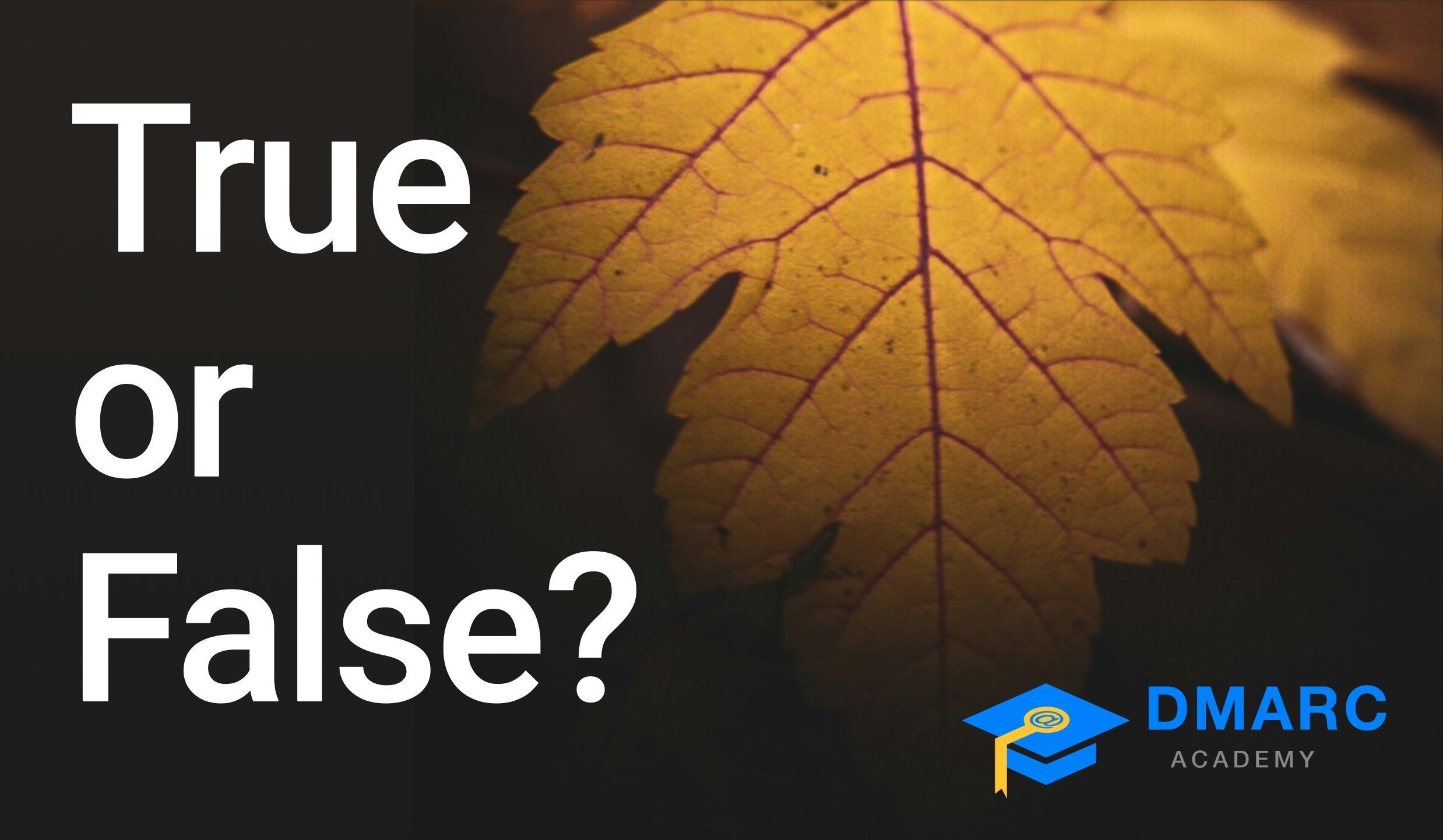 True or False - DMARC Academy - dmarcian