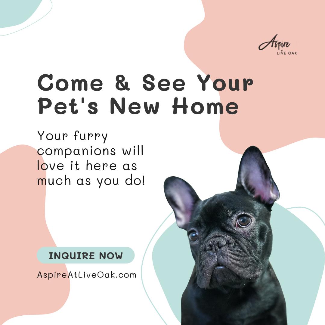 Come & See Your Pet's New Home - Your furry companions will love it here as much as you do! - Inquire Now - AspireAtLiveOak.com