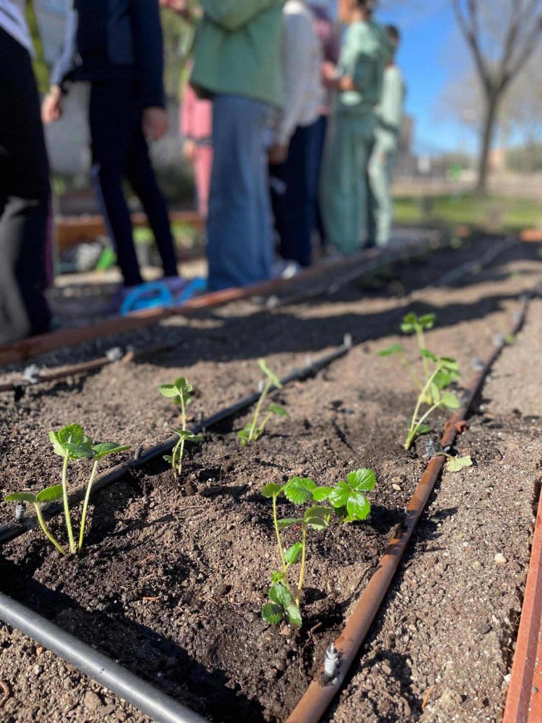 El CEIP Condes de Fuensalida impulsa \u201CEl ritmo del conocimiento\u201D, un musical escolar que integra aprendizaje, creatividad y valores como la inclusi\u00F3n y la convivencia.\n\n